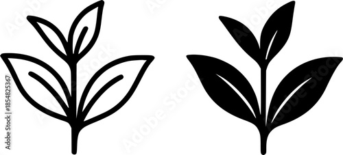 Tea leaf illustration icon, black and white, outline and silhouette versions