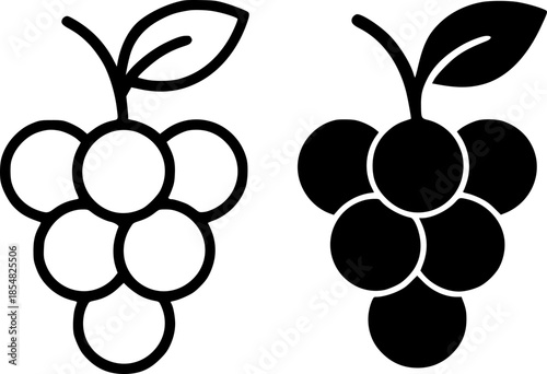 Fruit icon, grape illustration, black and white, outline and silhouette version