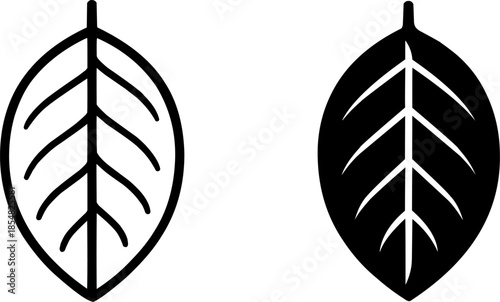 Rambutan leaf illustration icon, black and white, outline and silhouette versions