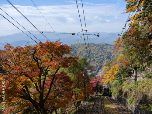 秋の京都 比叡山の紅葉 叡山ケーブルカーの車窓