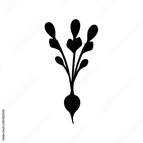 Illustrated radish with leaves