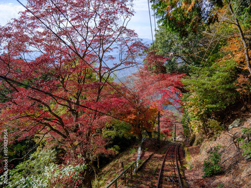 秋の京都 比叡山の紅葉 叡山ケーブルカーの車窓