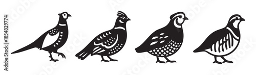 Four stylized game birds illustration set in graphic black and white style, featuring various upland fowl designs for hunting or wildlife themes.