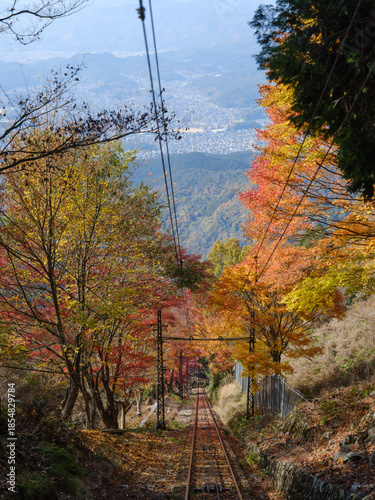 秋の京都 比叡山の紅葉 叡山ケーブルカーの車窓