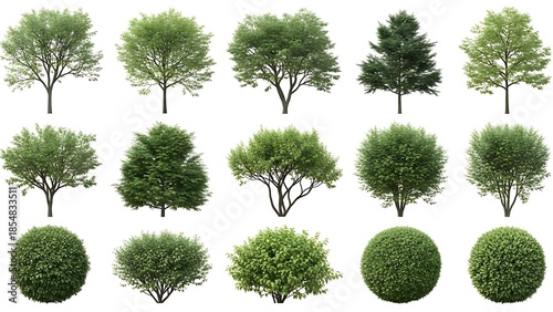 Diverse selection of 15 realistic green trees and bushes, including deciduous, evergreen, and spherical topiary, isolated for easy use in architectural renderings and garden designs.