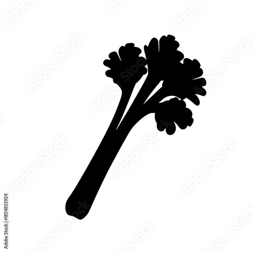Single celery stalk