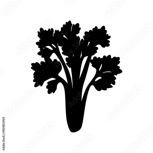 Silhouette of broccoli