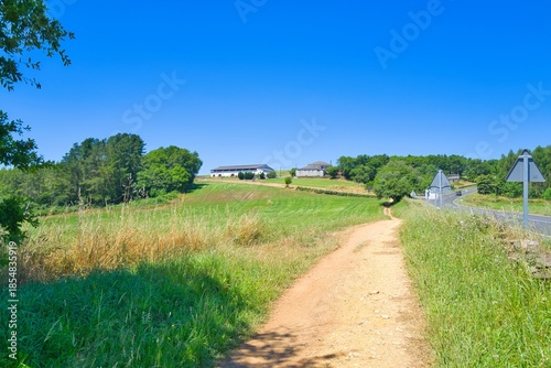 길거리, 경관, sky, 네이처, 경로, 목초, 들판, 여름, 시골, 농촌, green, 국가, 나무, 구름, 길, 목초지, 보도, 봄, 고개, 아웃도어, 산책로, 걷다