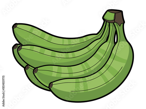 Vector illustration of fresh green bananas bunch, a healthy snack option, in a studio setting, c.eps reference