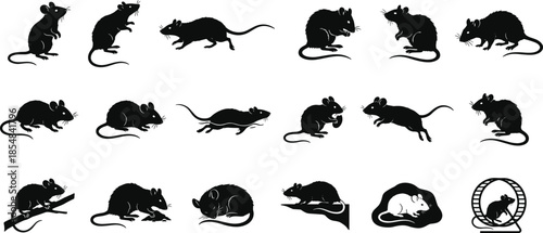 Mouse and rat silhouette vector collection showing rodents running sitting eating isolated black animal figures illustration design wildlife set icons