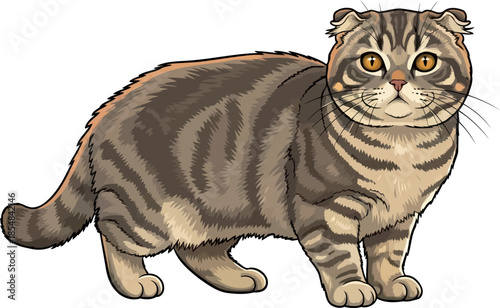 curled ears, captivating eyes the sweet allure of a beloved feline companion, vector isolated on transparent background