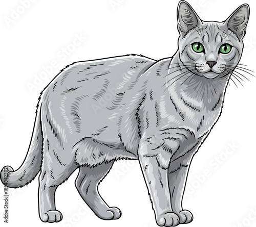 emerald gaze, sterling grace a domestic shorthairs confident and elegant stance, vector isolated on transparent background
