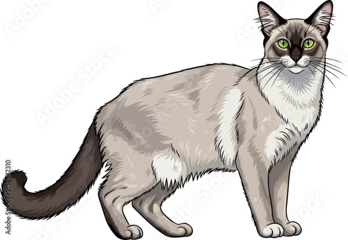 emerald glimmer the silent dignity of a thoughtful feline companion, vector isolated on transparent background