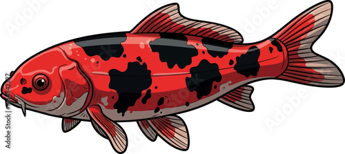 fortunes jewel majestic koi radiates prosperity and serenity in striking art, vector isolated on transparent background