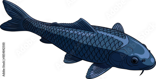 inkstone swimmer an artistic interpretation of aquatic fortitude and prosperity, vector isolated on transparent background