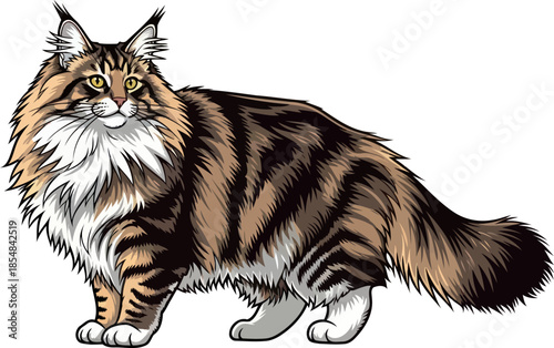 majestic forest feline a regal gaze of untamed grace and domestic charm, vector isolated on transparent background