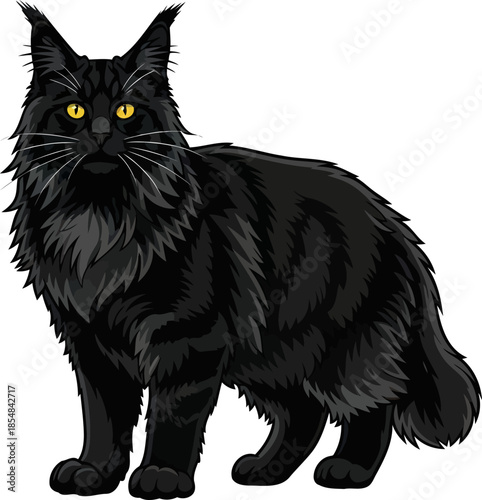obsidian soul maine coons luminous gaze, a symbol of deep wisdom, vector isolated on transparent background