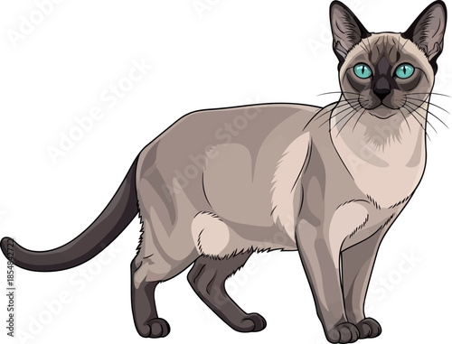 oceanic gaze the elegant mystique of a domestic royal sentinel, vector isolated on transparent background