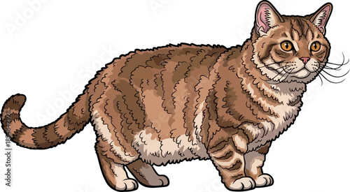 pocketsized purrfection an adorable companion ready to brighten any visual narrative, vector isolated on transparent background