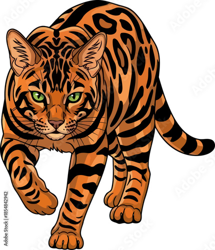 primal stride bengal cats artful spirit, striking markings, and verdant gaze, vector isolated on transparent background