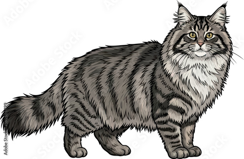 soulful gaze an illustrative ode to feline majesty, grace, and untamed charm, vector isolated on transparent background