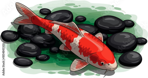 timeless elegance koi fish illuminating a peaceful aquatic dreamscape, vector isolated on transparent background