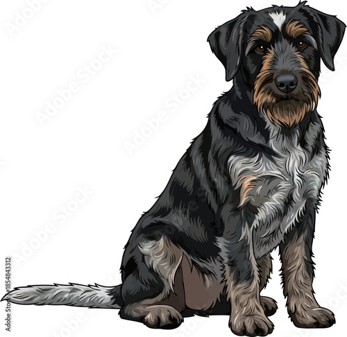 the quiet guardian a spirited terriers unwavering devotion in dynamic illustration, vector isolated on transparent background