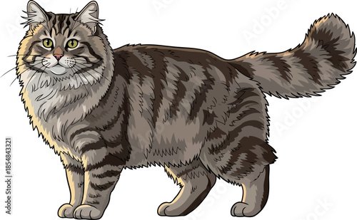 timeless tabby noble feline spirit captured in striking stripes and intelligent gaze, vector isolated on transparent background