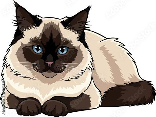 velvet paws, sapphire gaze a regal feline portrait of gentle grace, vector isolated on transparent background