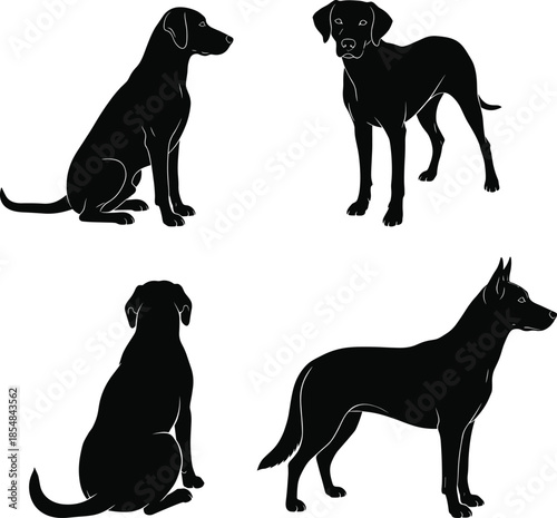 Dog silhouette collection showing sitting standing side and rear views isolated on white background pet animal vector illustration for stock