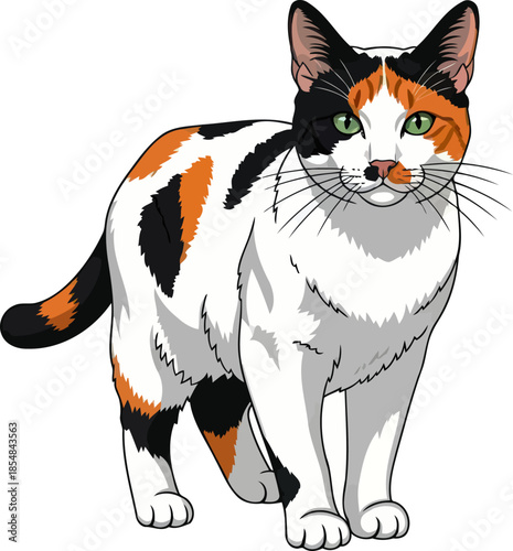 vibrant patchwork charm a calico cats gaze holds playful domesticity, vector isolated on transparent background
