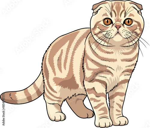 whimsical charm a scottish fold cats endearing gaze and distinctive profile, vector isolated on transparent background
