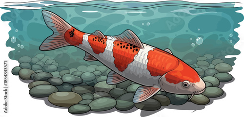 waters wisdom a kois elegant journey of persistence and prosperity, vector isolated on transparent background