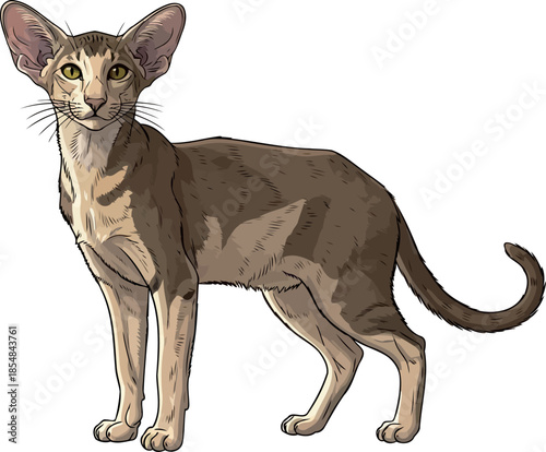 alien grace a striking felines otherworldly charm and keen observation, vector isolated on transparent background