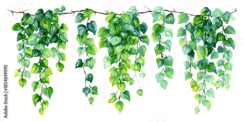 Set of floral wedding arches with pink peonies and delicate vines on a white background. Vibrant Pink Petunias Bloom Abundantly