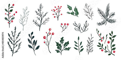 Hand drawn minimalistic winter botanical branches and leaves set with red berries for holiday and festive decoration vector illustration