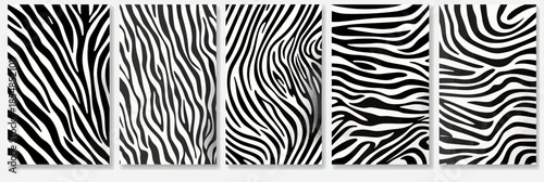 Seamless black and white zebra stripe patterns set with abstract wavy and diagonal lines for decorative textile and graphic design backgrounds collection vector illustration