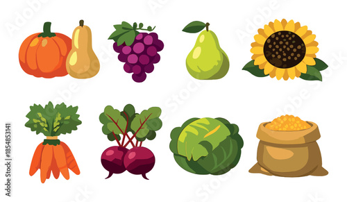 Colorful autumn harvest: pumpkins, grapes, pears, sunflower, vegetables, grains
