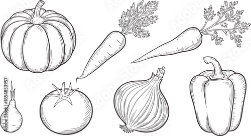 Hand drawn line vegetables set including pumpkin carrots onion pepper tomato