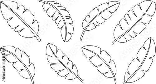 Seven tropical banana leaves in minimalist black line outline style