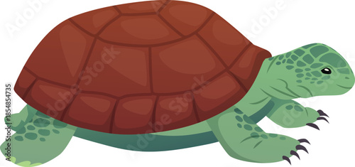Green turtle with a brown shell, cute children's character, side view.