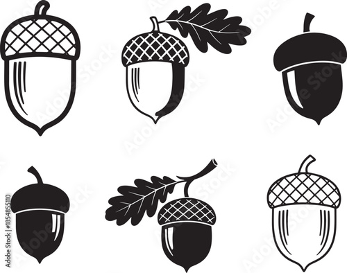 Collection of acorn icons in various styles for autumn decoration