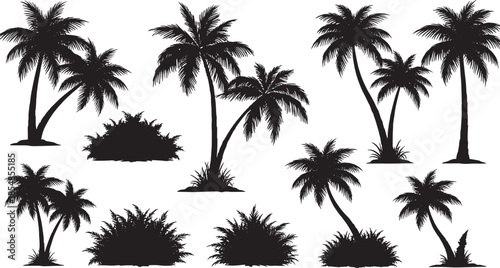 Tropical palm trees silhouettes with summer exotic foliage elements