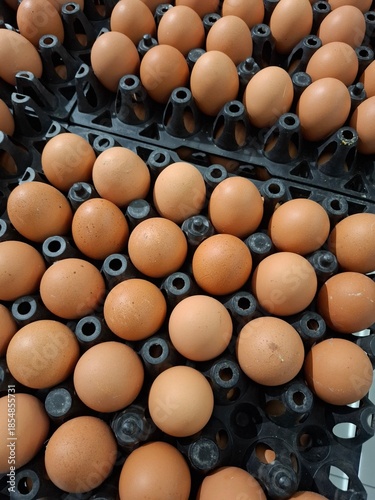 A high-angle view of many fresh brown chicken eggs neatly arranged in black plastic crates, ready for wholesale or retail at a market.