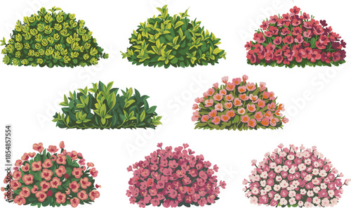 Cartoon flowering bushes and shrubs vector set, pink blossoms, green foliage, stylized garden plants, spring botanical clipart, decorative landscape design elements