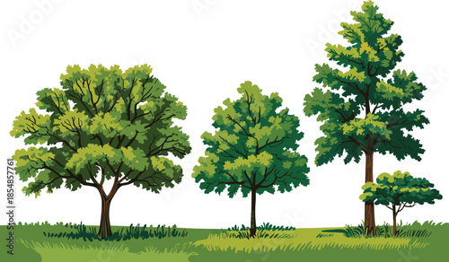 Cartoon green trees vector set, stylized foliage, decorative plants, seasonal garden elements, landscape illustration assets, botanical clipart for eco-friendly design