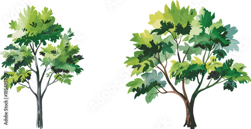 Cartoon green trees vector set, stylized foliage, decorative plants, seasonal garden elements, landscape illustration assets, botanical clipart for eco-friendly design