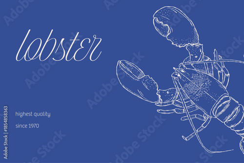 Lobster seafood poster with elegant hand drawn line art illustration