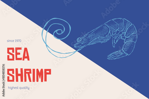 Sea shrimp vintage poster with hand drawn crustacean illustration