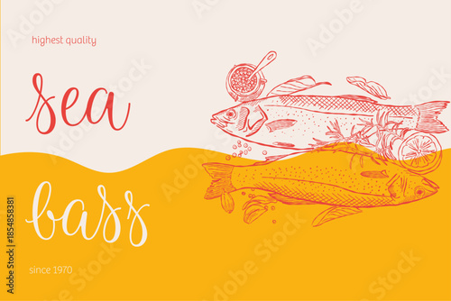 Sea bass culinary poster with hand drawn fish and caviar illustration